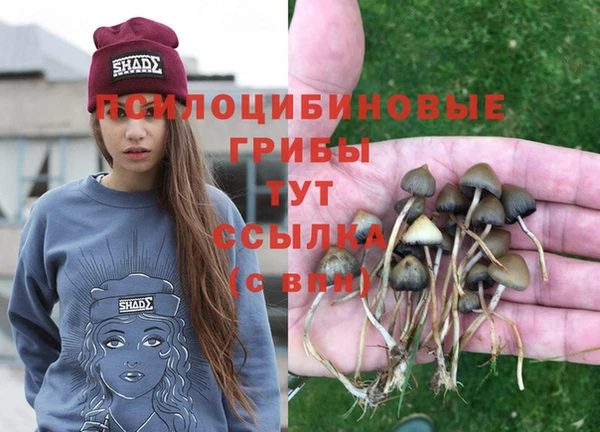 не бодяженный Абдулино