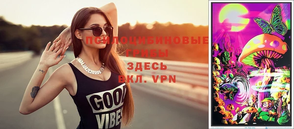 прущие крисы Новозыбков